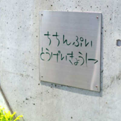 img20160403204205145368.jpg