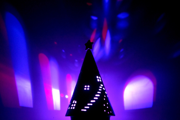 tree1200.jpg