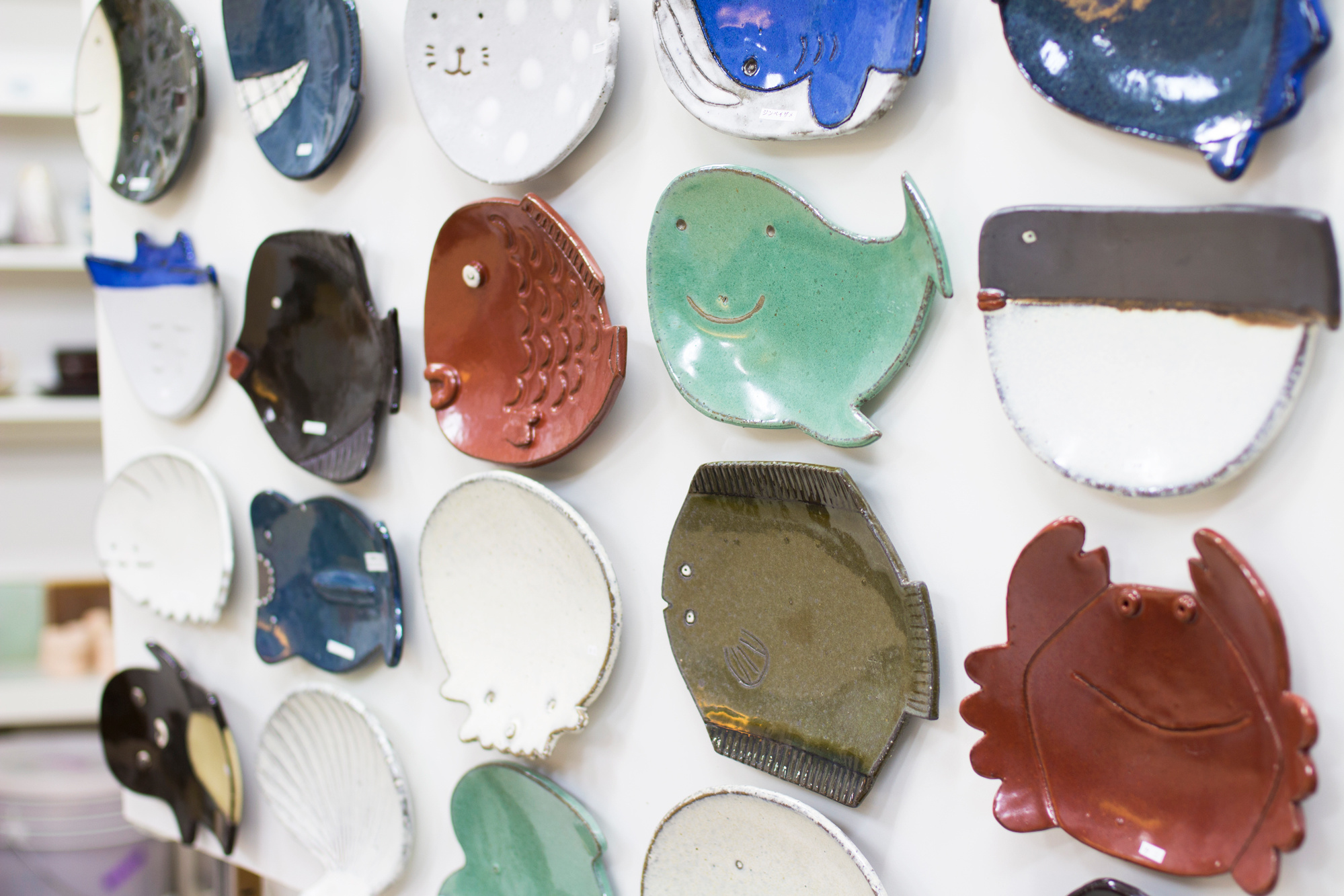 海の生き物皿イメージ