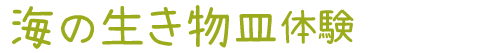 海の生き物皿体験